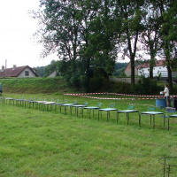 78.jpg