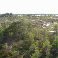 88.jpg
