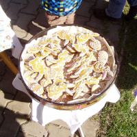 3170.JPG
