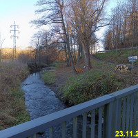 IMG_20241123_094419.jpg