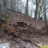 IMG_20250216_161520.jpg