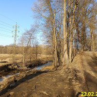 IMG_20250222_145141.jpg
