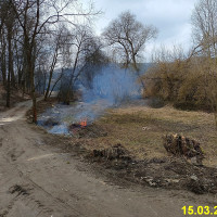 IMG_20250315_114306.jpg