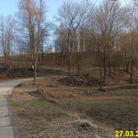 IMG_20250327_170635.jpg
