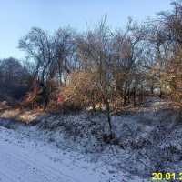 IMG_20240120_092624.jpg