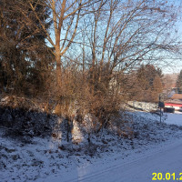 IMG_20240120_092628.jpg