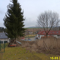 IMG_20250315_082341.jpg