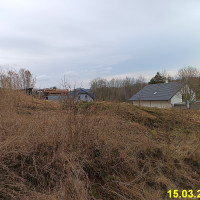 IMG_20250315_165211.jpg